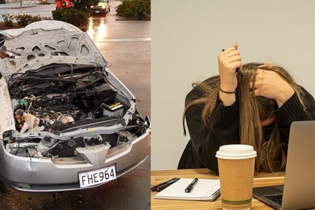 Reddit user shamed for refusing to let cousin borrow her car