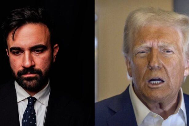 Zohran Mamdani (@JimBagaDonuts|X.com) and President Donald Trump (@JoJoFromJerz|X.com).