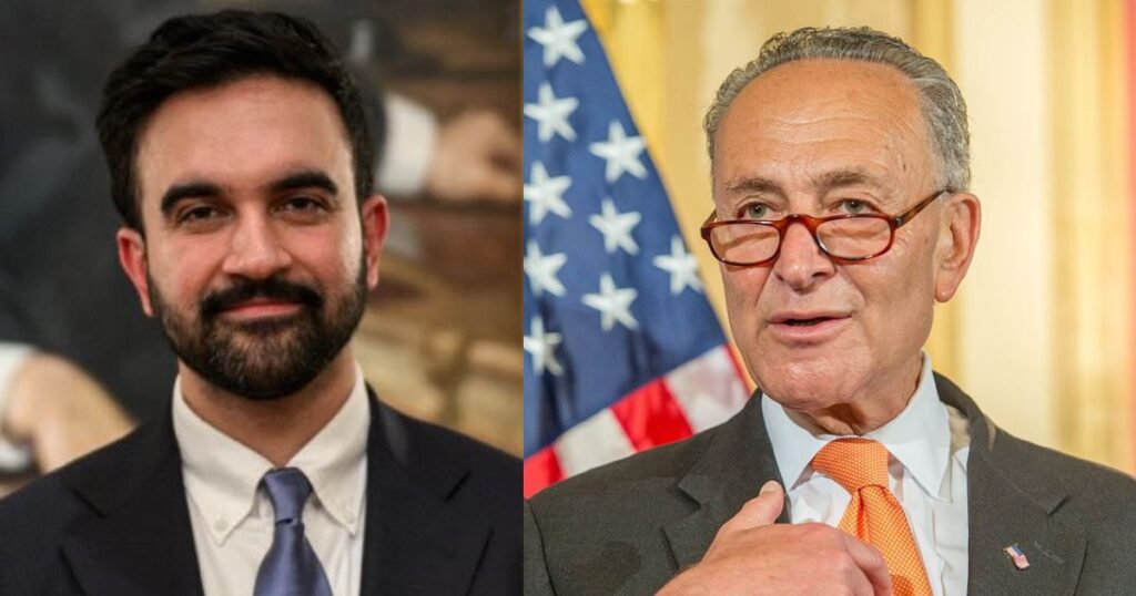 Zohran mamdani-and-Chuck schumer