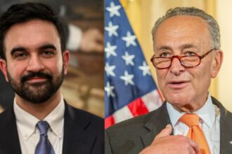 Zohran mamdani-and-Chuck schumer