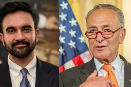 Zohran mamdani-and-Chuck schumer