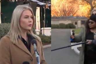 Karoline leavitt and April ryan