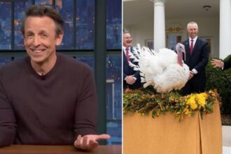 seth meyers mocked donald trump