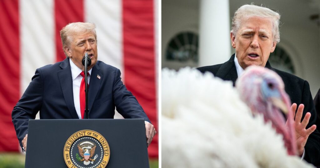 Donald Trump pardons two turkeys ahead of Thanksgiving