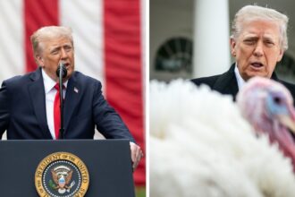 Donald Trump pardons two turkeys ahead of Thanksgiving