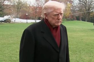 Donald trump's fashion