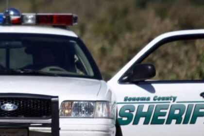 A Black former deputy is suing Sonoma County