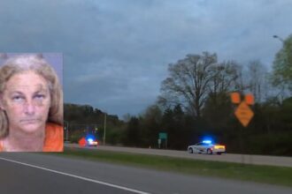 Arizona woman attempted to kill her boyfriend