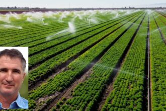 California Tycoon Mike Abatti's Properties Searched