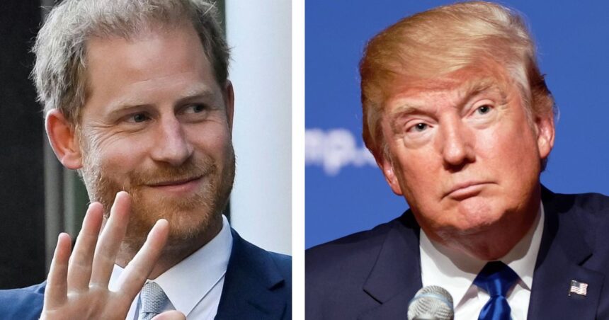 Prince Harry takes a swipe on Donald Trump and it's not what you’re thinking