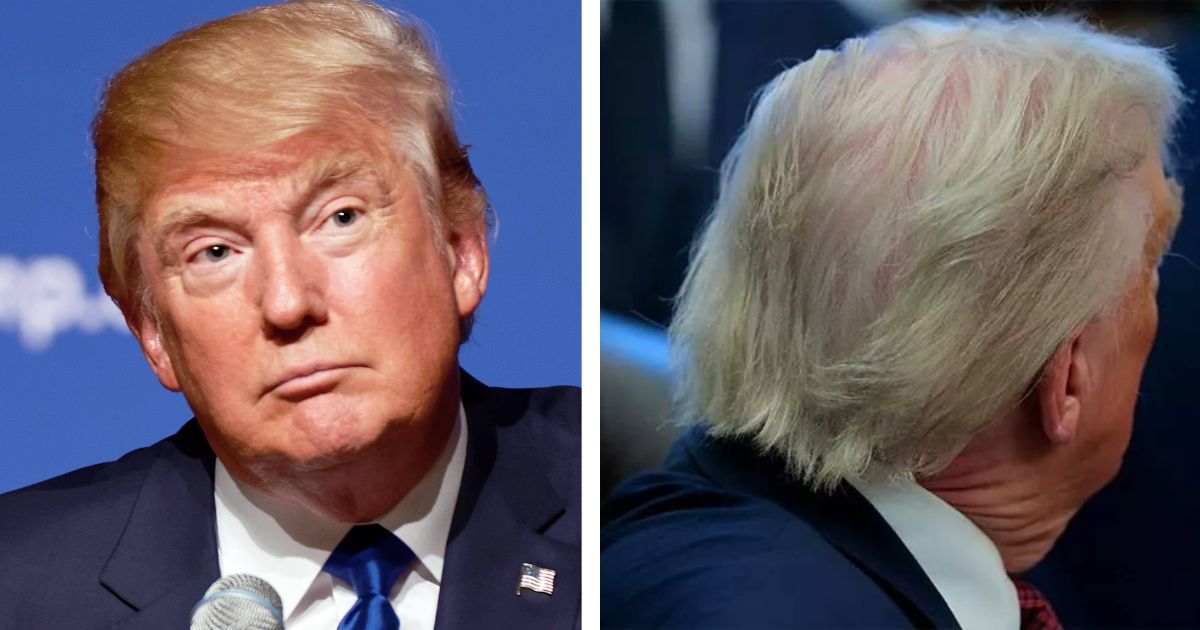 Donald Trump’s hair leaves the internet with a pool of questions