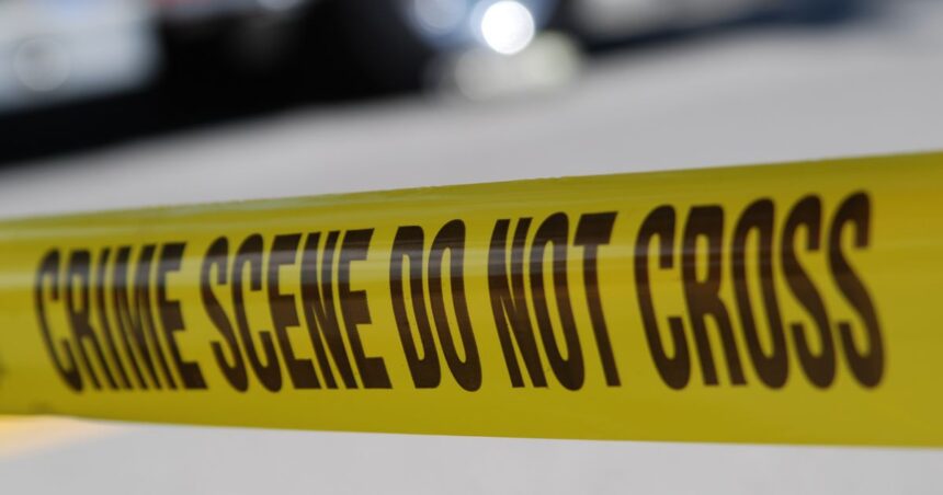 Foster caregiver locks 22 year old inside dog kennel, finally rescued with help from neighbor