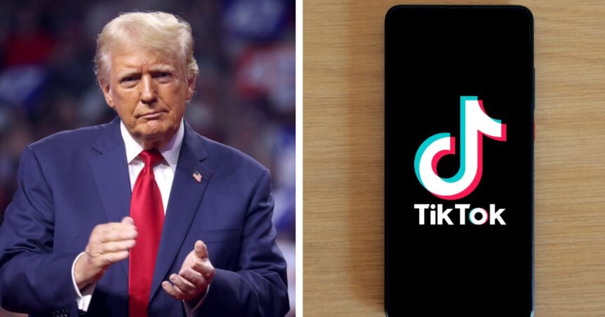 Trump handovers TikTok to business pals as last mile effort to save the company