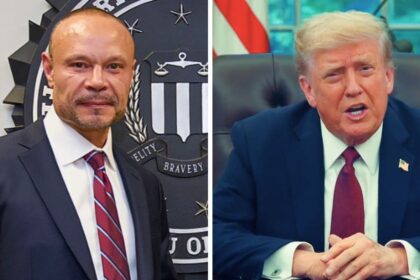 Dan Bongino served as FBI deputy director under Donald Trump