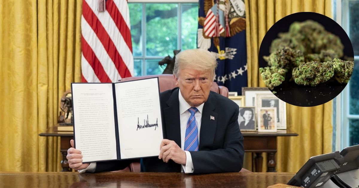 Donald Trump signs new executive order related to marijuana classification and usage in across The United States. (Main Image : by Trump White House- Archived-via Flickr). ( Insert- by Terrance Barksdale- via Pexels).