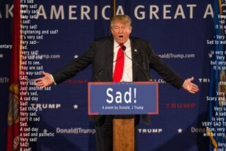 Donald Trump's tariffs backfire as Canadians turn away from coming to U.S for holidays. (Image credit: @BuzzFeedNews|X.com).