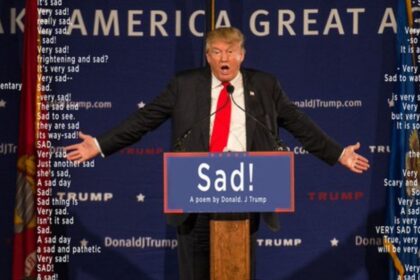 Donald Trump's tariffs backfire as Canadians turn away from coming to U.S for holidays. (Image credit: @BuzzFeedNews|X.com).