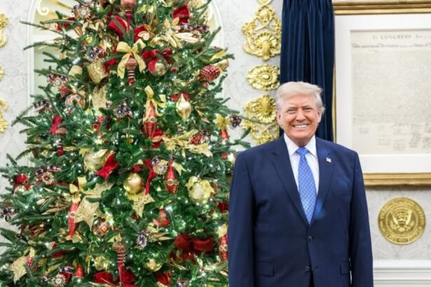 Donald Trump is Christmas ready and how.