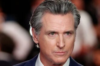 Gavin Newsom responds to Halle Berry.