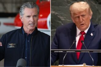 Gavin Newsom humiliates Donald Trump online