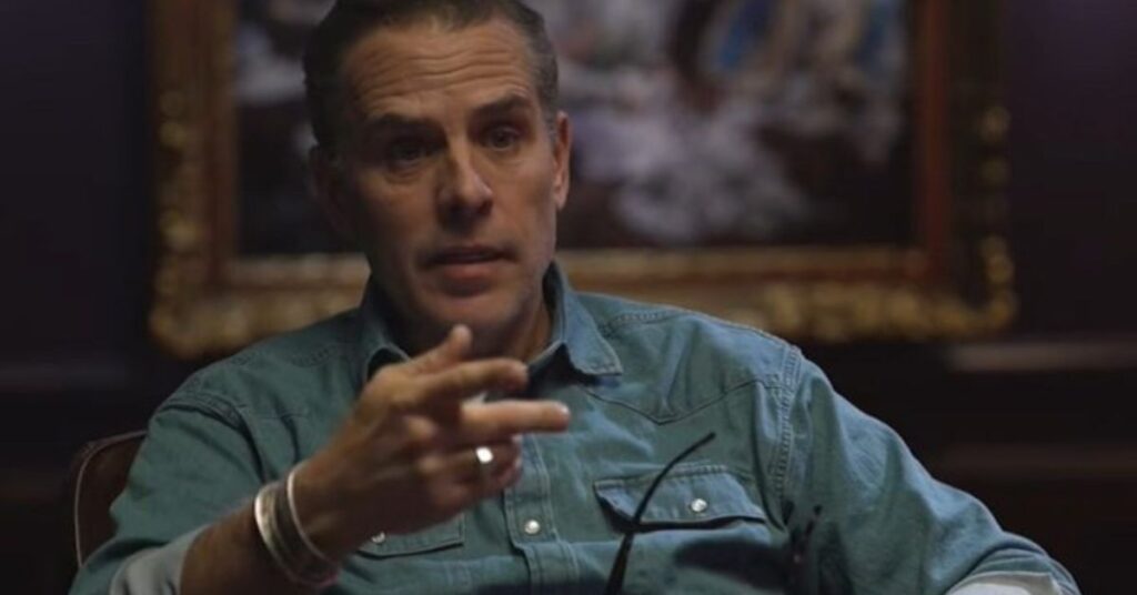 Hunter biden interview