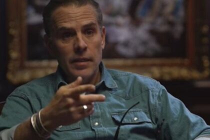 Hunter biden interview