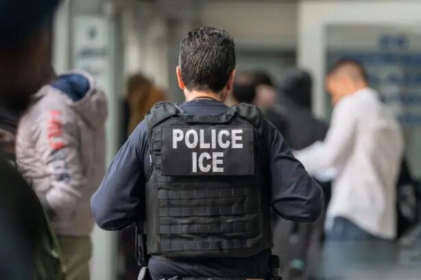 ICE Agents