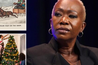 Joy Reid 'Jingle Bells' racism video share