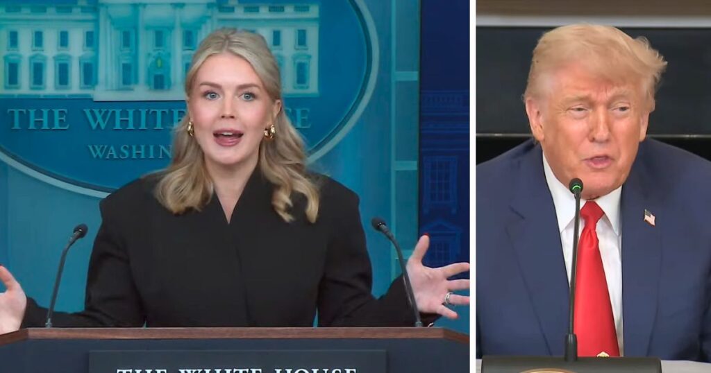 Karoline Leavitt acknowledged the administration has no current plan to stop looming healthcare premium hikes