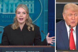 Karoline Leavitt acknowledged the administration has no current plan to stop looming healthcare premium hikes