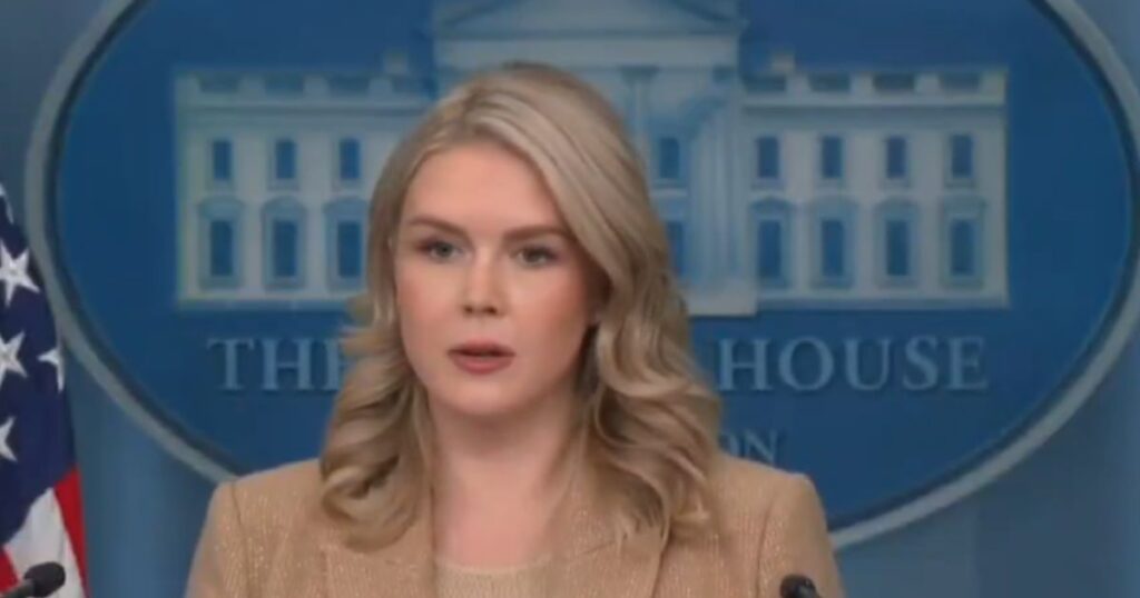 Karoline Leavitt mocked