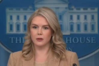 Karoline Leavitt mocked