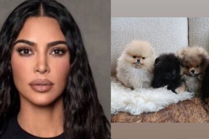 Kim Kardashian’s puppies, PETA