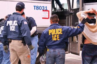 ICE arresting people with minor offence