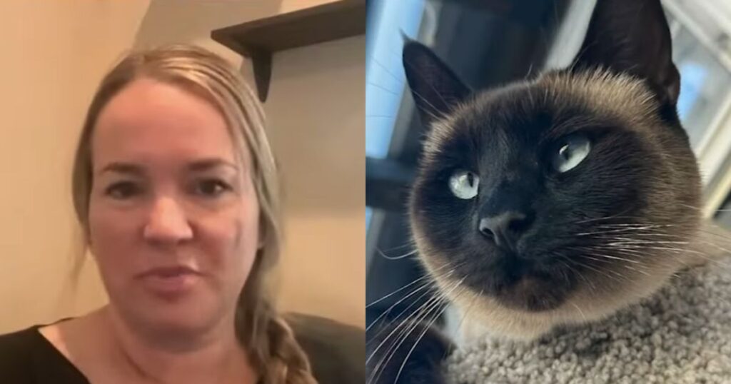 Amazon driver stole California woman’s cat from porch