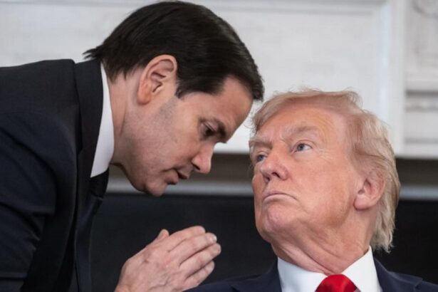 Marco Rubio praises Trump