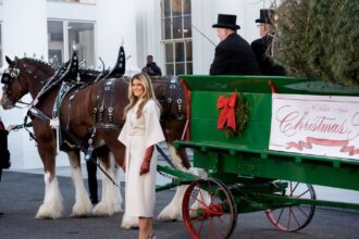 Vogue Best Dressed List 2025