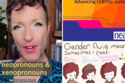 NEA training materials leaked