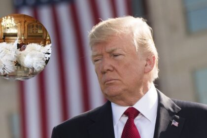 President Donald Trump mocked by popular "Daily Show Host" over his recent rally comments in Pennsylvania. (via X.com).