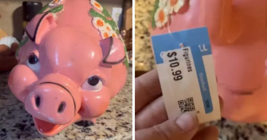 Texas woman purchases $!0.99 thrifted piggy bank but is stunned by the unexpected find inside it. (@TikTok/@miles8katrina).