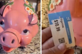 Texas woman purchases $!0.99 thrifted piggy bank but is stunned by the unexpected find inside it. (@TikTok/@miles8katrina).