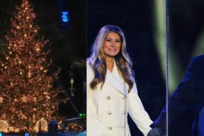 Trump and Melania light up the Christmas tree