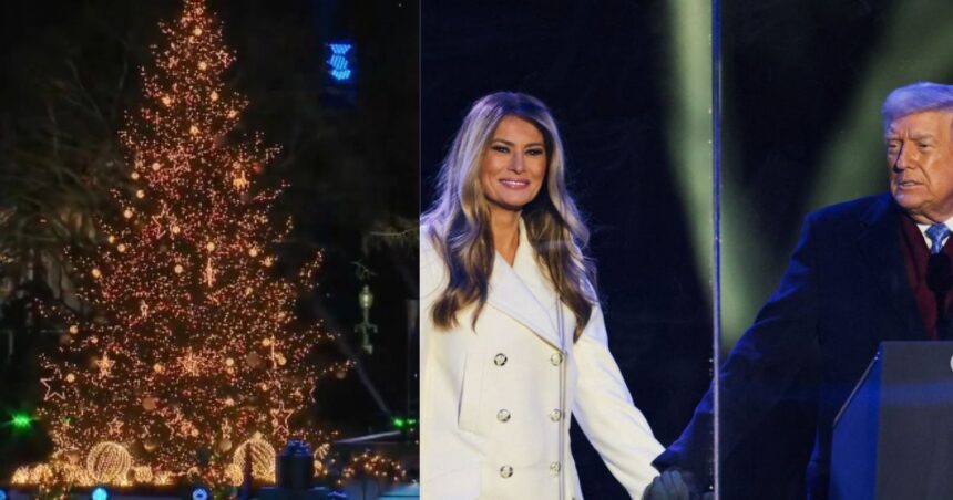 Trump and Melania light up the Christmas tree