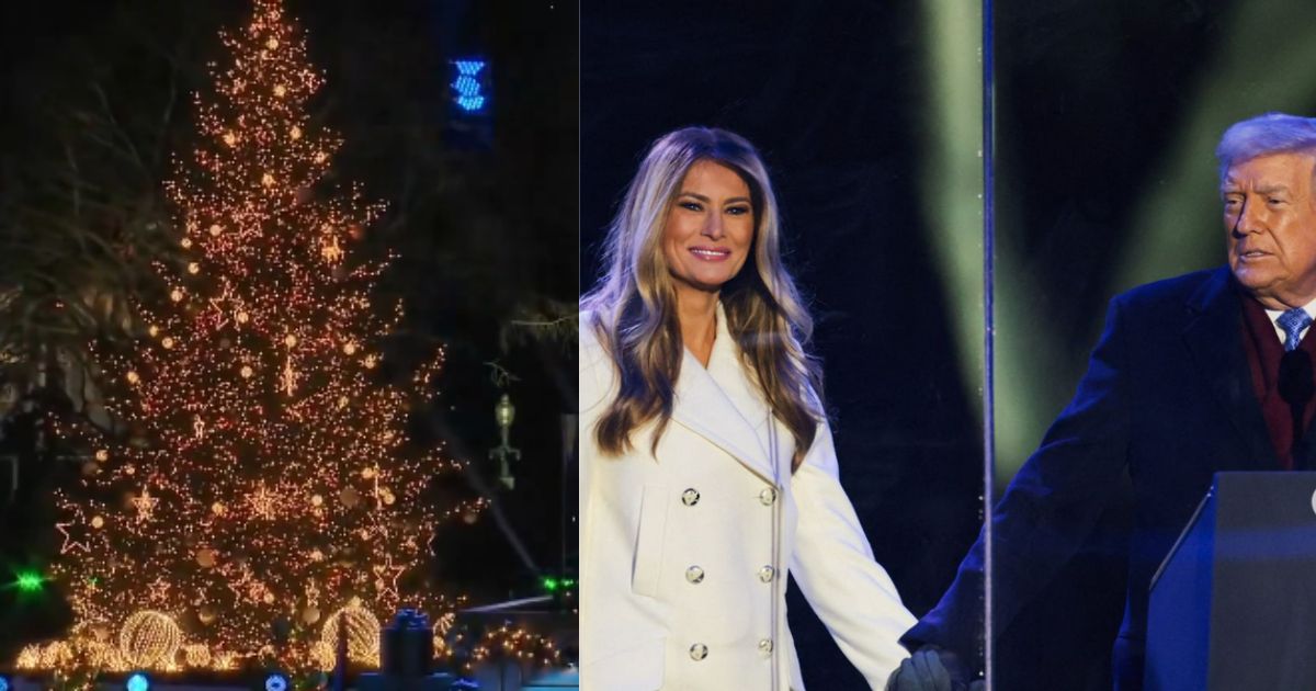 Trump and Melania light up the Christmas tree