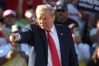 Donald Trump lashes at journalist