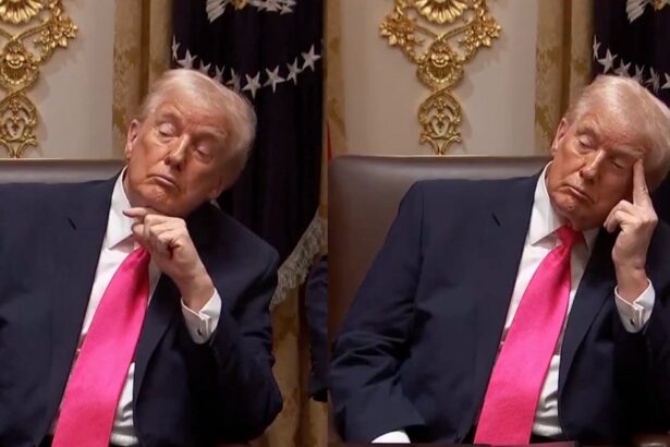 Donald Trump mocked for falling asleep in a meeting