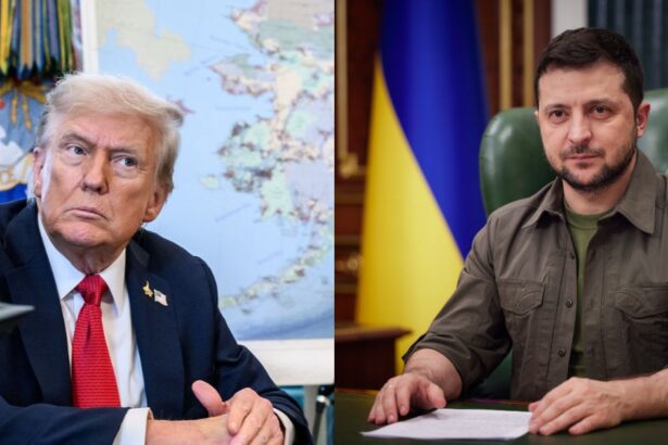 Donald Trump feels Zelenskyy is 'losing' the war against Russia. (Credit: Wikimedia Commons)