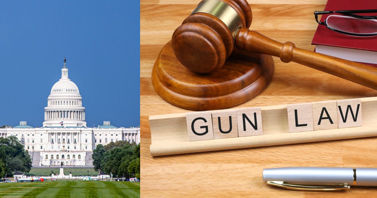 Trump Administration Sues Washington, D.C. Over Gun Ban