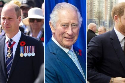 Prince Harry 'likely' Blames Prince Harry for King Charles and Kate Middleton's Cancer