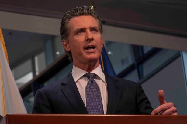 newsom-dealbook